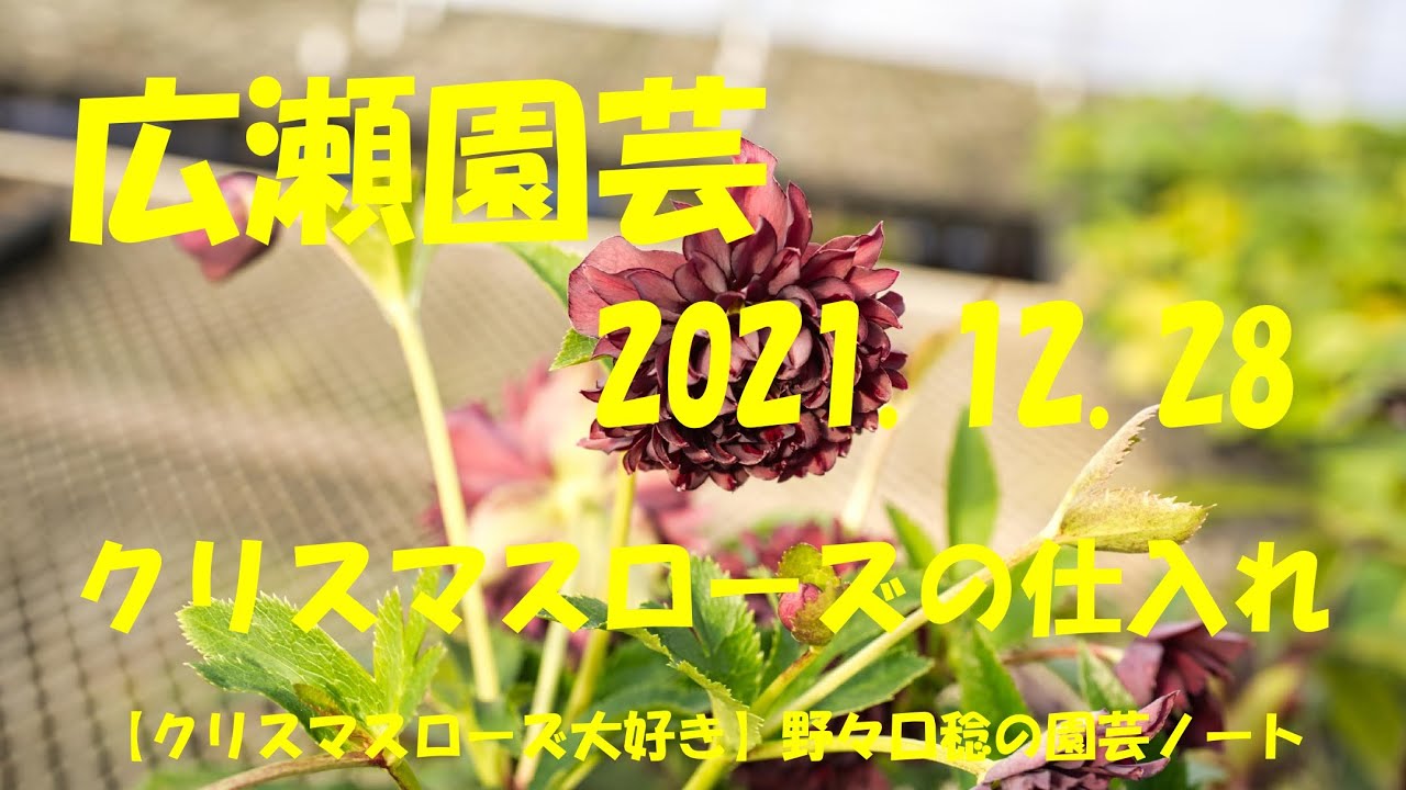 広瀬園芸 2021.12.28 - YouTube