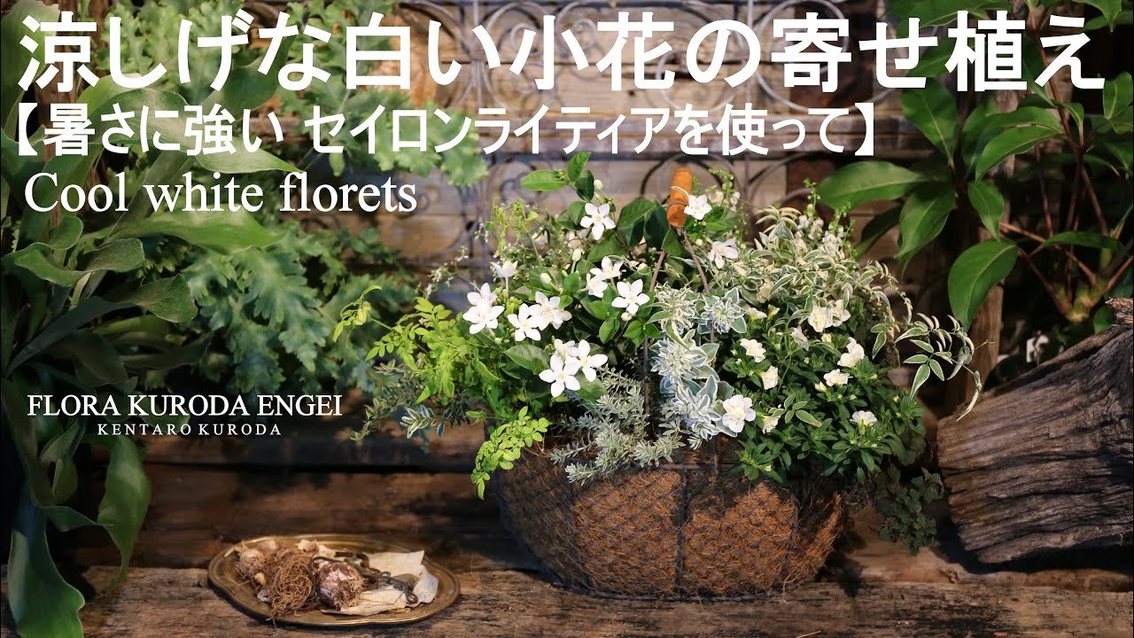 Cool white small flowers from Japan. 【Planting Video】 - YouTube