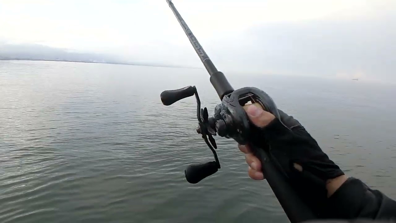 ショアジギングに使えるベイトリール【タトゥーラTW 300XHL】で青物を