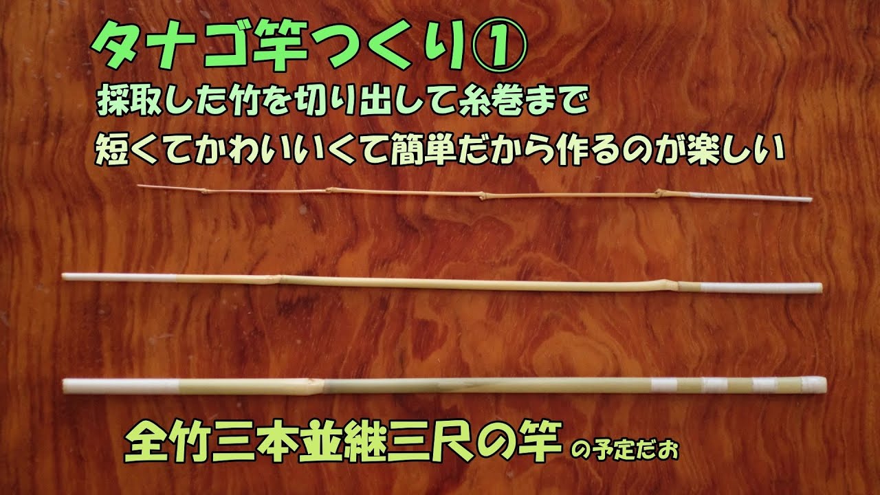 採取した竹でタナゴ竿をつくる① 竹の切り出しから糸巻まで【竹竿作り