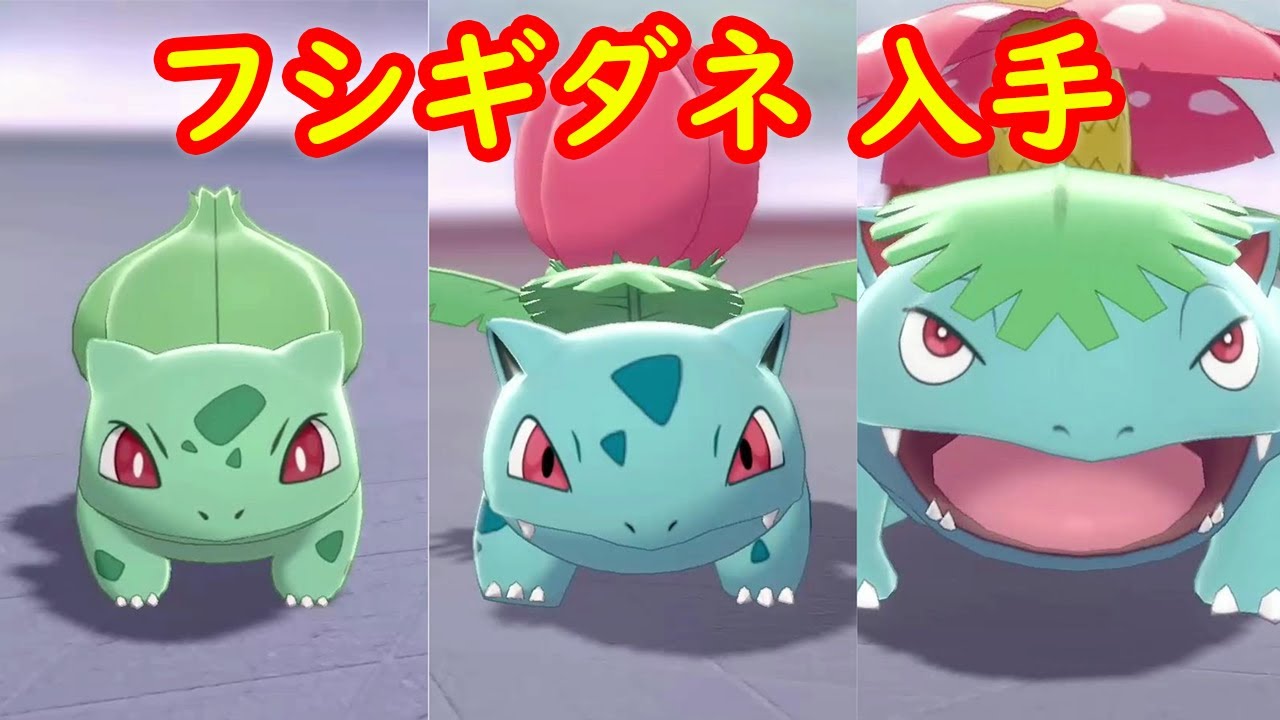 フシギダネ → フシギソウ → フシギバナ】入手 攻略 + キャンプで遊ぶ