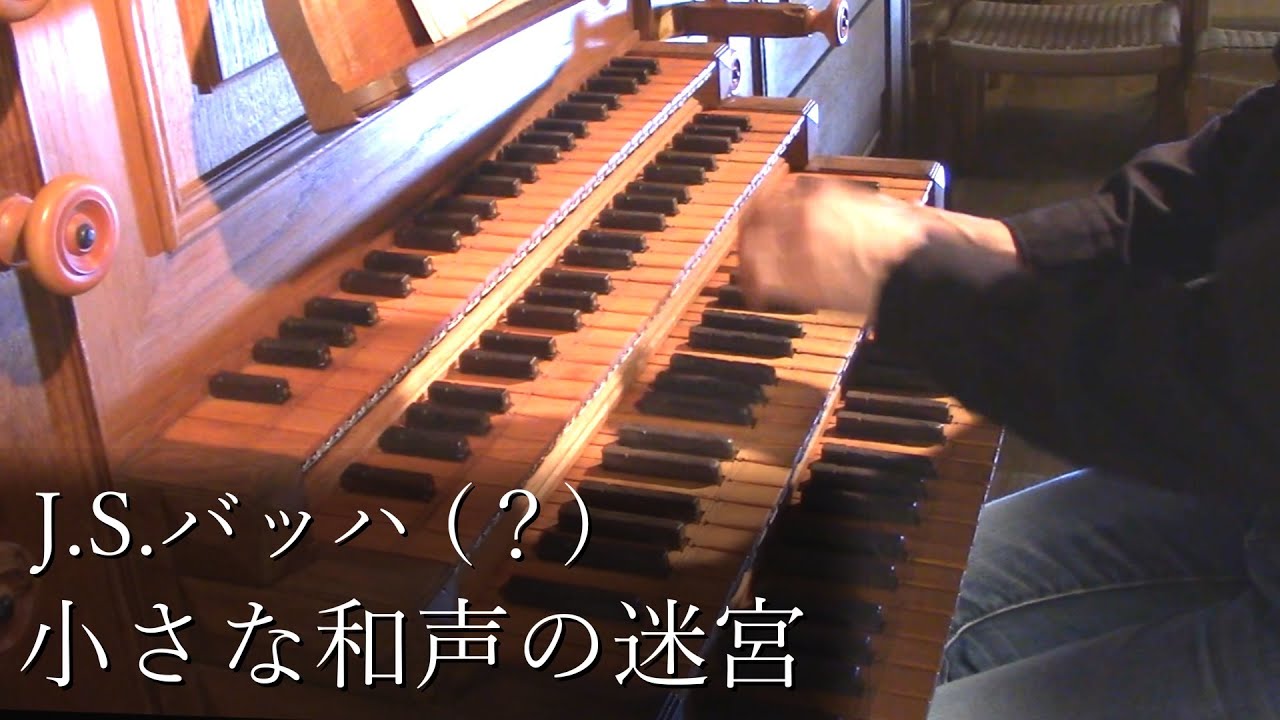 J.S.バッハ - 小さな和声の迷宮 BWV591 オルガン - 冨田一樹【古楽