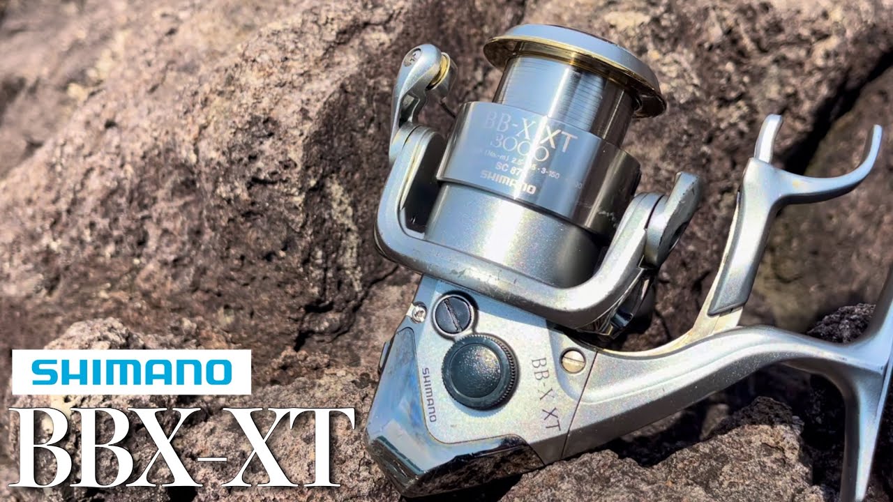 22年前のリールで釣りしてみたら、、、【フカセ釣り】【チヌ】【真鯛