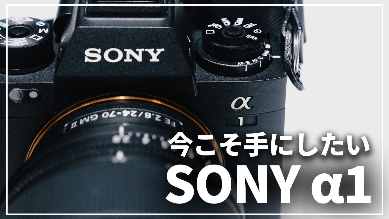 新品)SONY (ソニー) α1 ボディ ILCE-1（商品ID：4548736130678）詳細