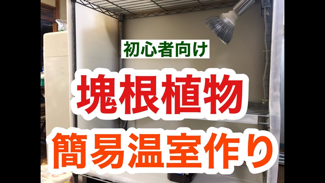 塊根植物】初心者の簡易温室作り① Caudex - YouTube