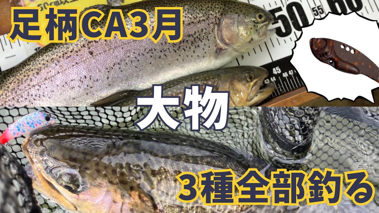 足柄CA】頂・驚・岩魚！大物3種をビースパ・ムカイシリーズで全部釣る