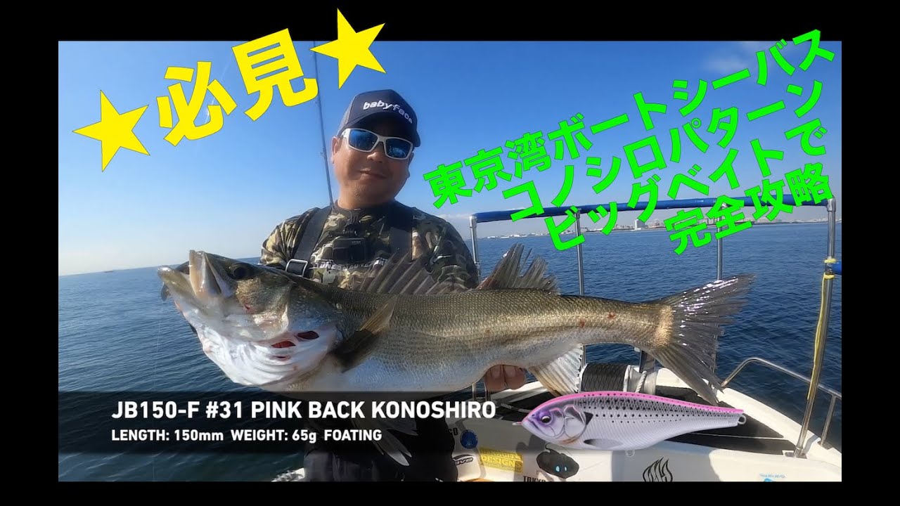 ☆東京湾ボートシーバスコノシロパターン☆babyface ビッグベイト