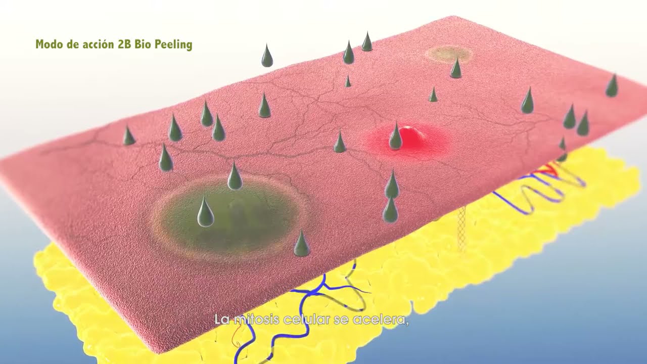 2B Bio Beauty - Richelle Beauty