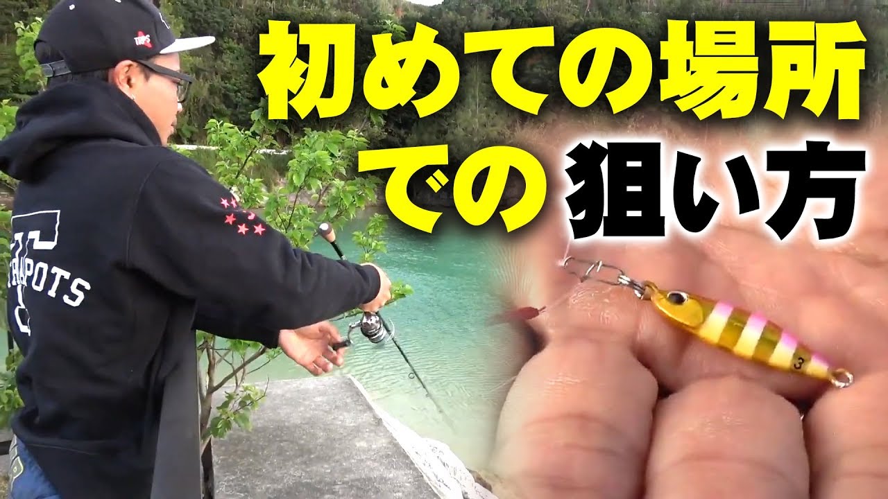 AZUSA 66SL | FIDELITY | フィデリティー