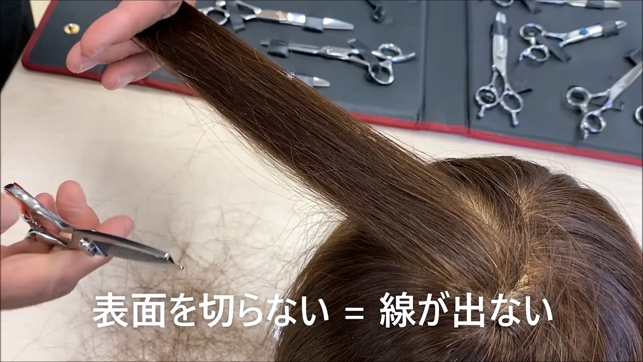 プリマードシザー】とは - YouTube