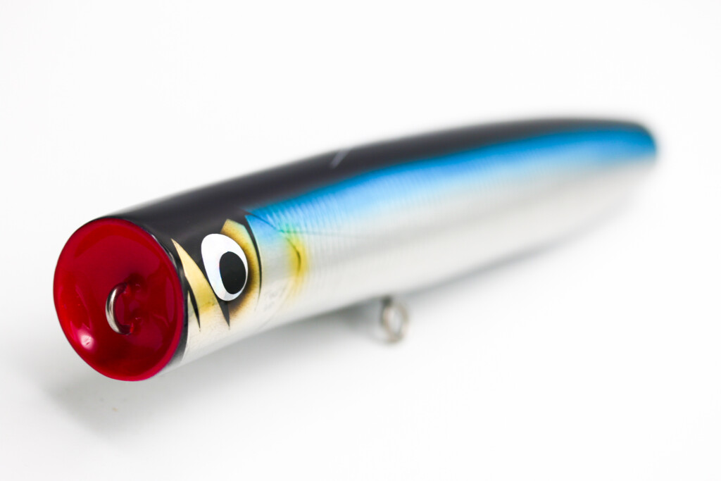 力丸水産 力丸POP SUGMA 210』 美しい | 10minutes Tokyo