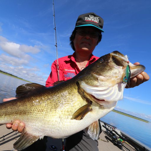 プロフィール | 