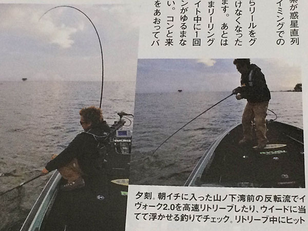 サイドワインダー フェルデランス実釣インプレ！使用範囲広い