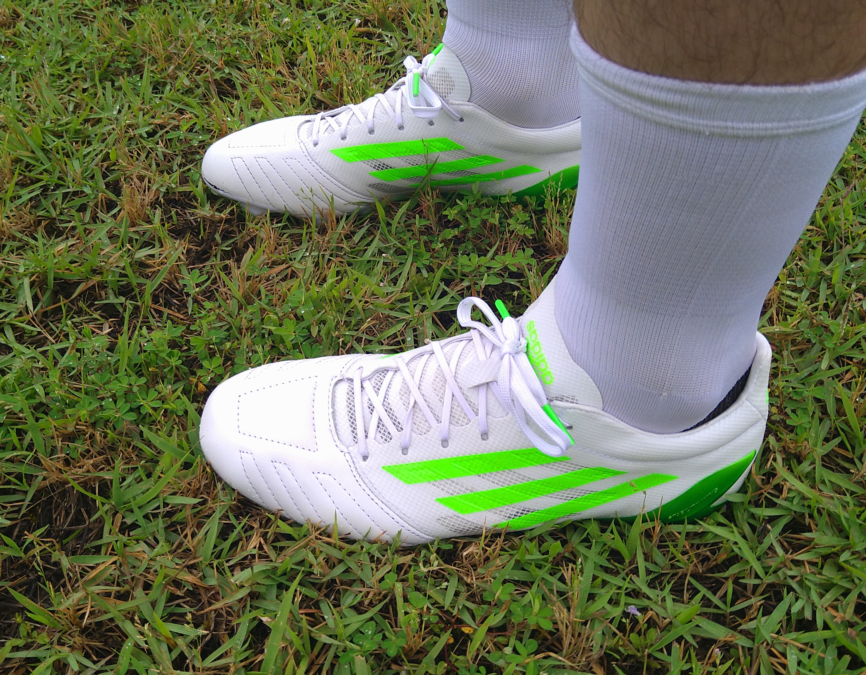 dsc_5136.jpg?fit=1200,935&ssl=