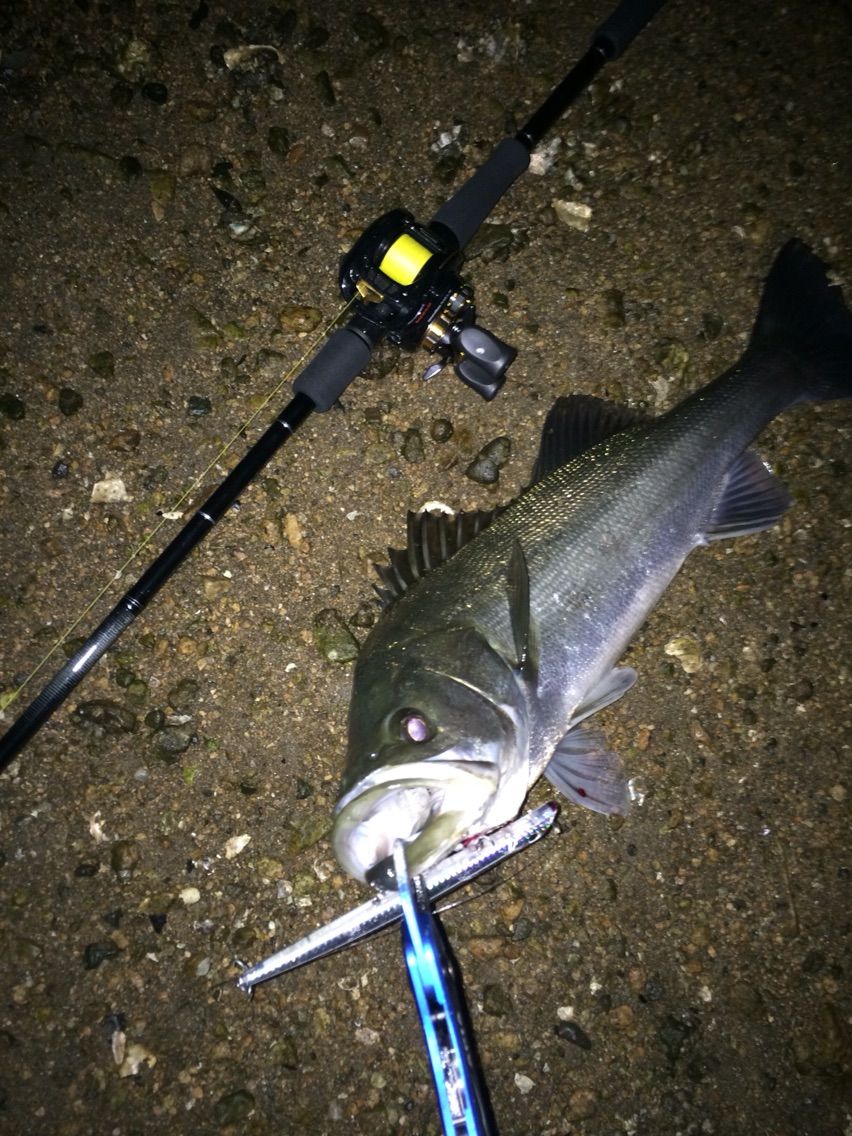 サヨリパターン】バリスティックベイト93M NANO 鱗付け完了 - NABRA