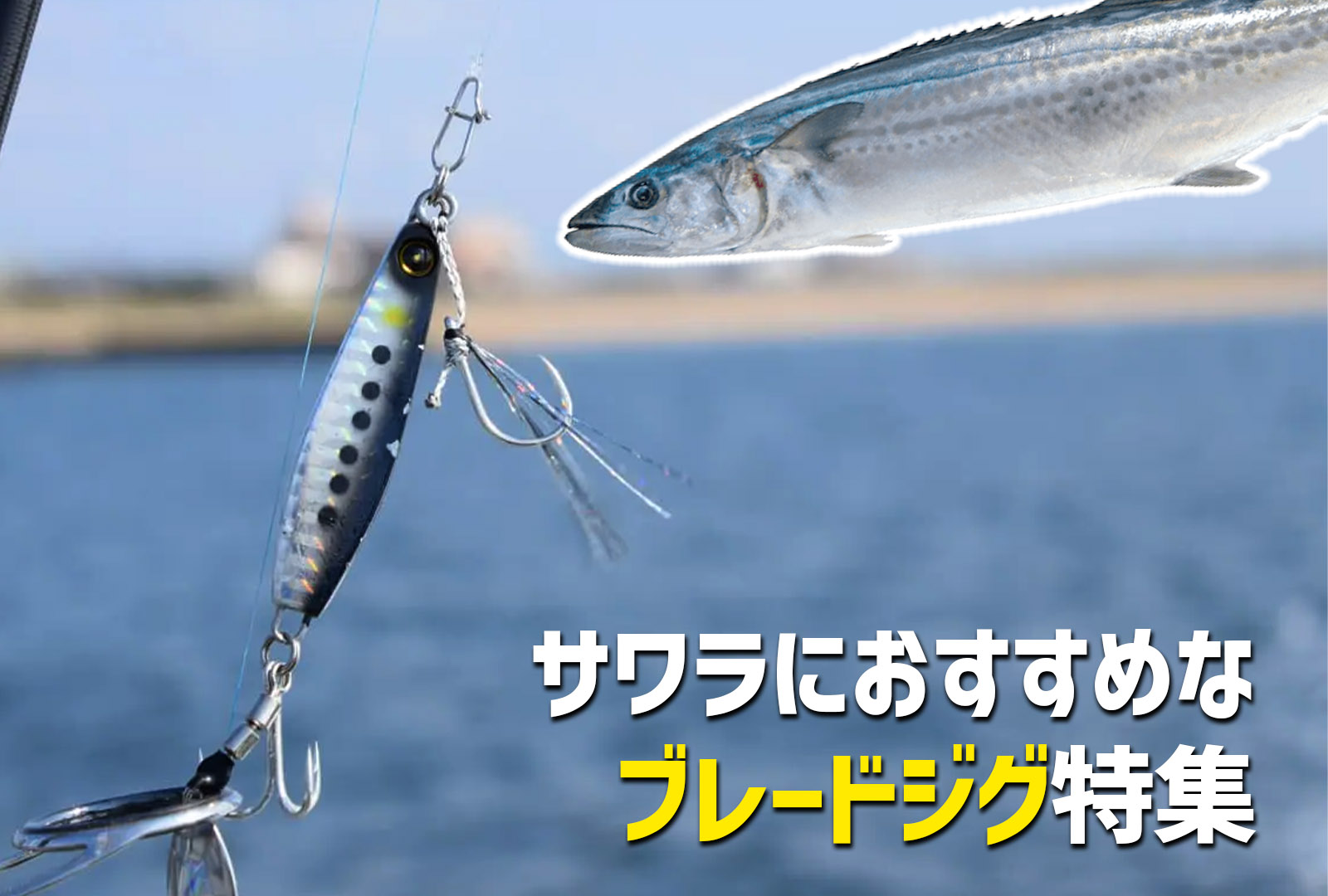 ブレードジグでサワラを攻略！初心者から上級者まで満足できるおすすめ