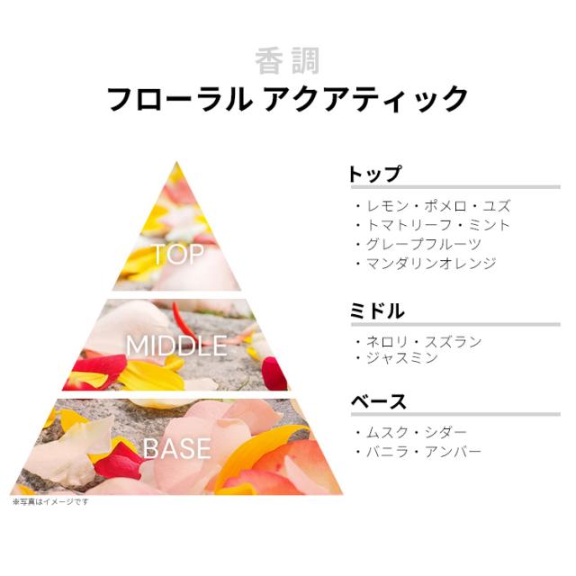 香水 女性用 ロエベ アグア マル デ コーラル EDT・SP 100ml 送料無料