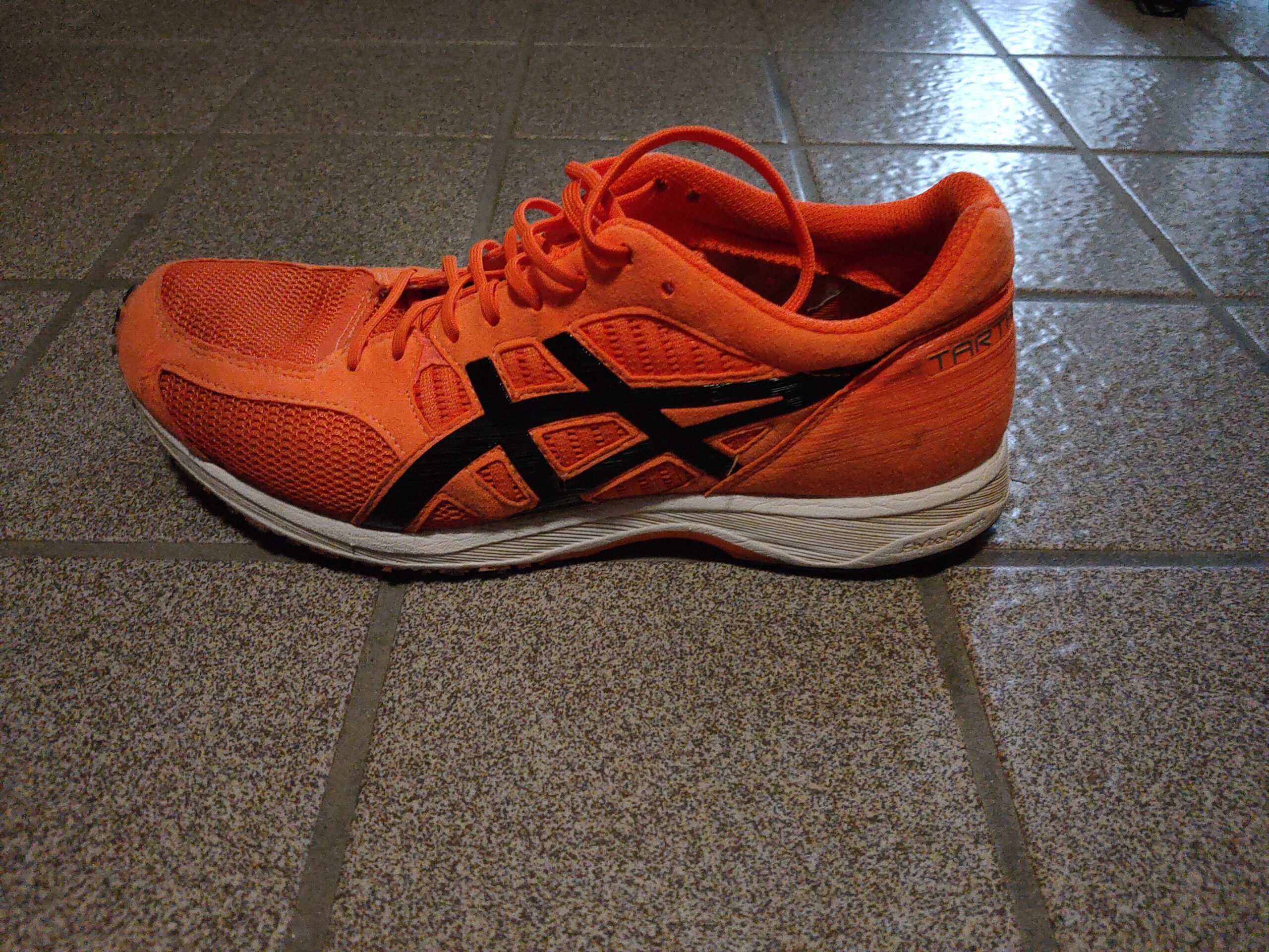 シューズレビュー④【ターサージール6（TARTHER ZEAL6）】 | いけやん