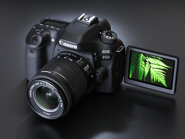 ファインダーもライブビューも キヤノン「EOS 80D」はすべてが快適（1
