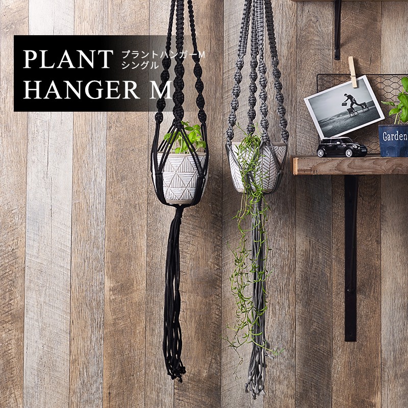 楽天市場】[全品10％OFF×10日限定クーポン+P10倍10日20時〜4H]プラント