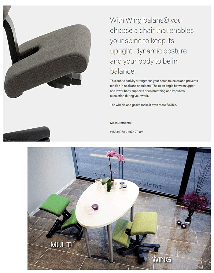 楽天市場】＼ポイント8倍／ バランスウィング ブラック バランスチェア