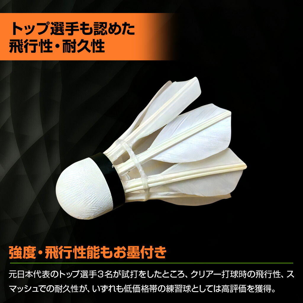 楽天市場】【店内全品ポイント10倍!要エントリー!11日1:59まで