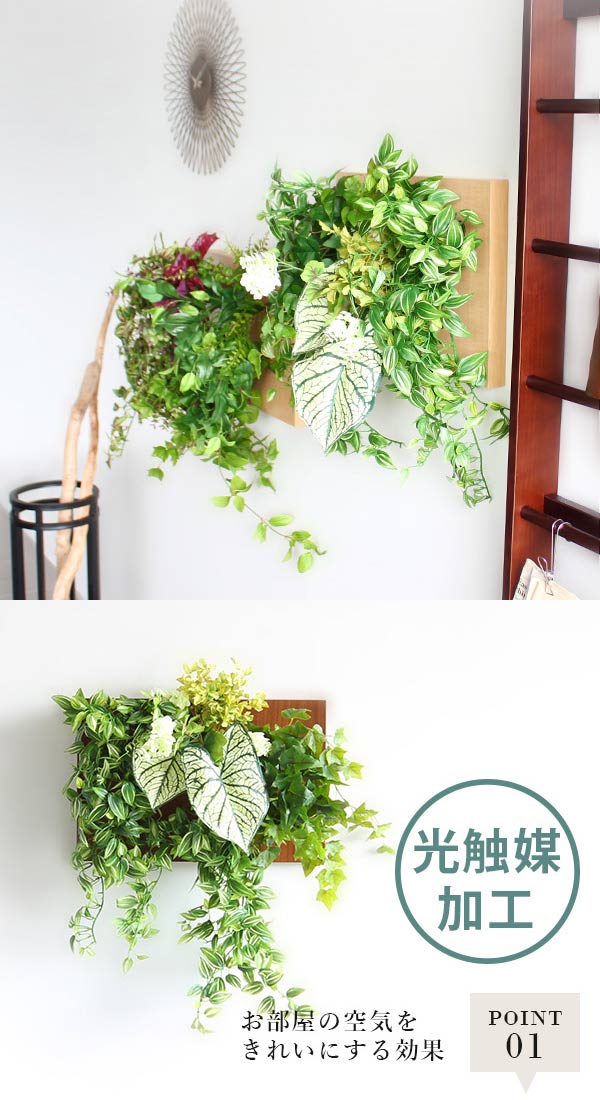 楽天市場】ウォールグリーン 光触媒 観葉植物 大型 フェイクグリーン
