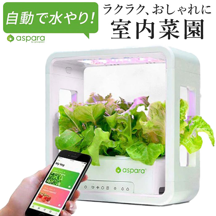 水耕栽培キット 通販 水耕栽培 野菜栽培 家庭菜園 屋内用水耕栽培
