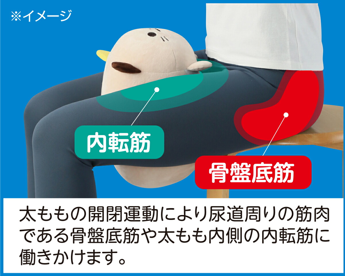 楽天市場】＼10％OFFクーポン＆P10倍！3/5 0:00~3/11 9:59／ 人気 骨盤