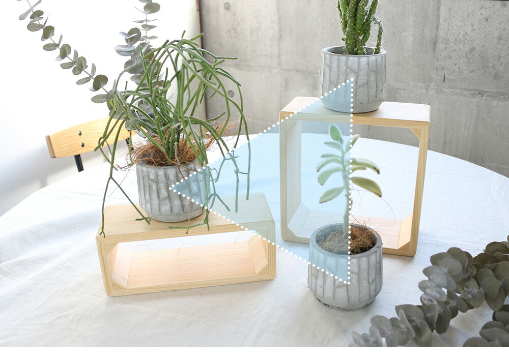 楽天市場】A+ (アクセントプラス) ショーケース用ライザー(フレーム型