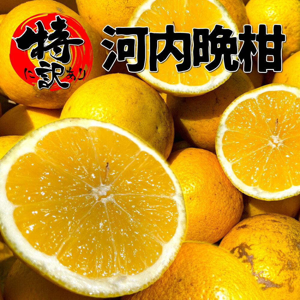楽天市場】愛媛産 特に訳あり河内晩柑10kg(+約0.5kg多め)【送料無料(一