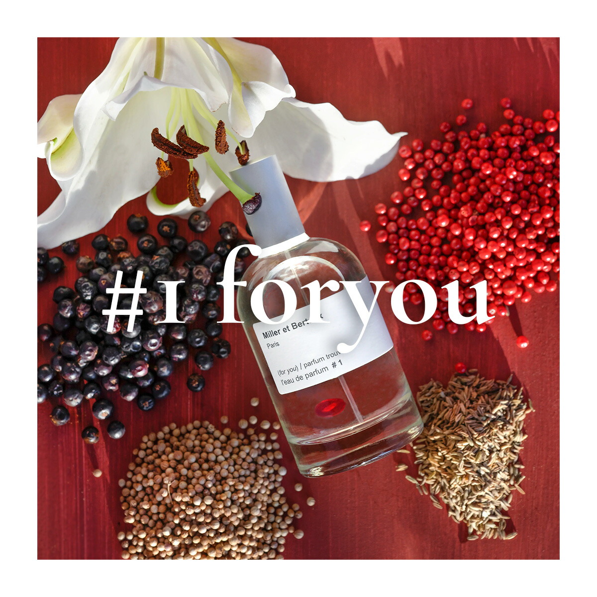 楽天市場】Miller et Bertaux 【オードパルファン香水100ml】 ＃1（for