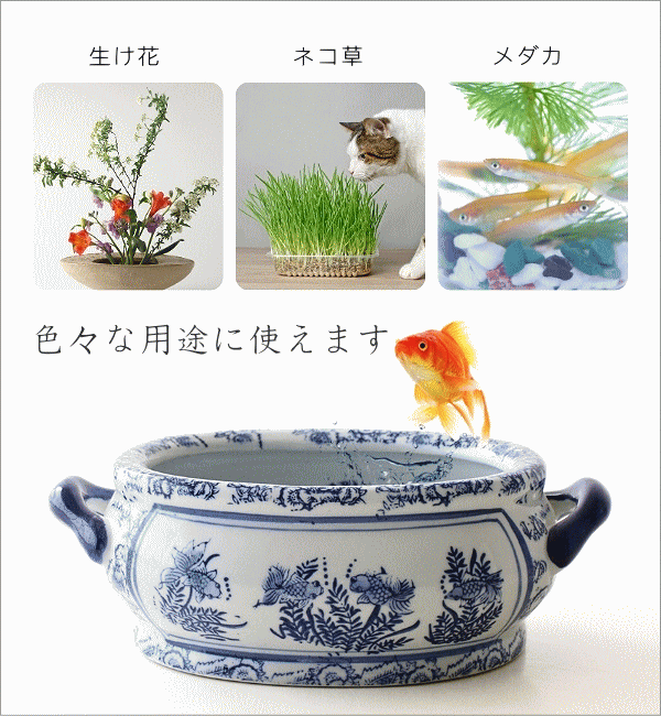 楽天市場】金魚鉢 陶器 おしゃれ 和風 水鉢 メダカ鉢 かわいい レトロ