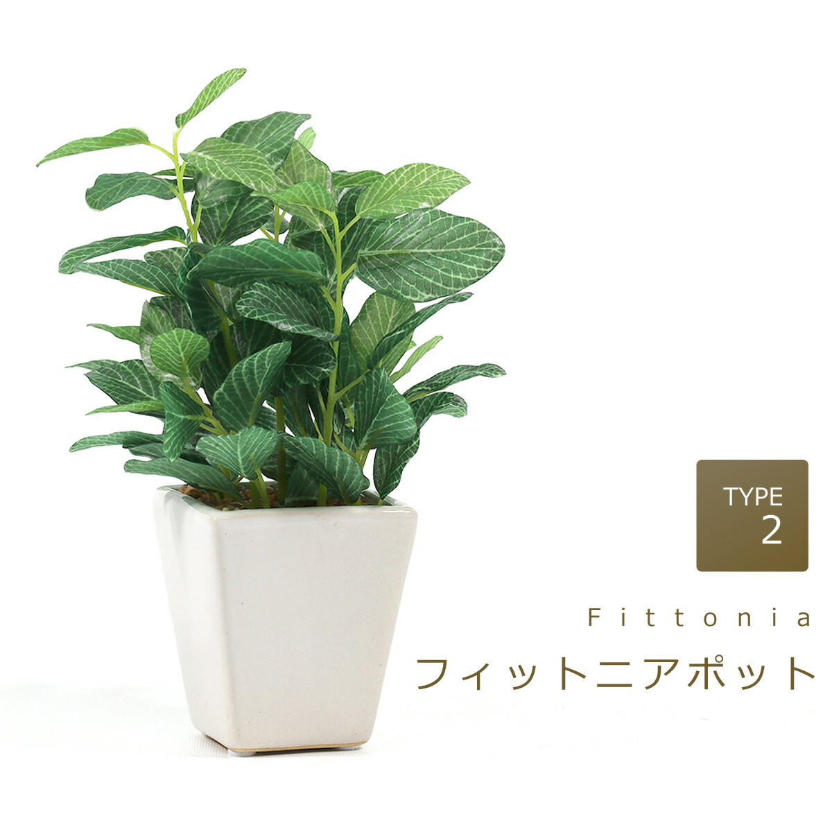 楽天市場】光触媒 光の楽園 卓上 グリーン フェイク 人工観葉植物