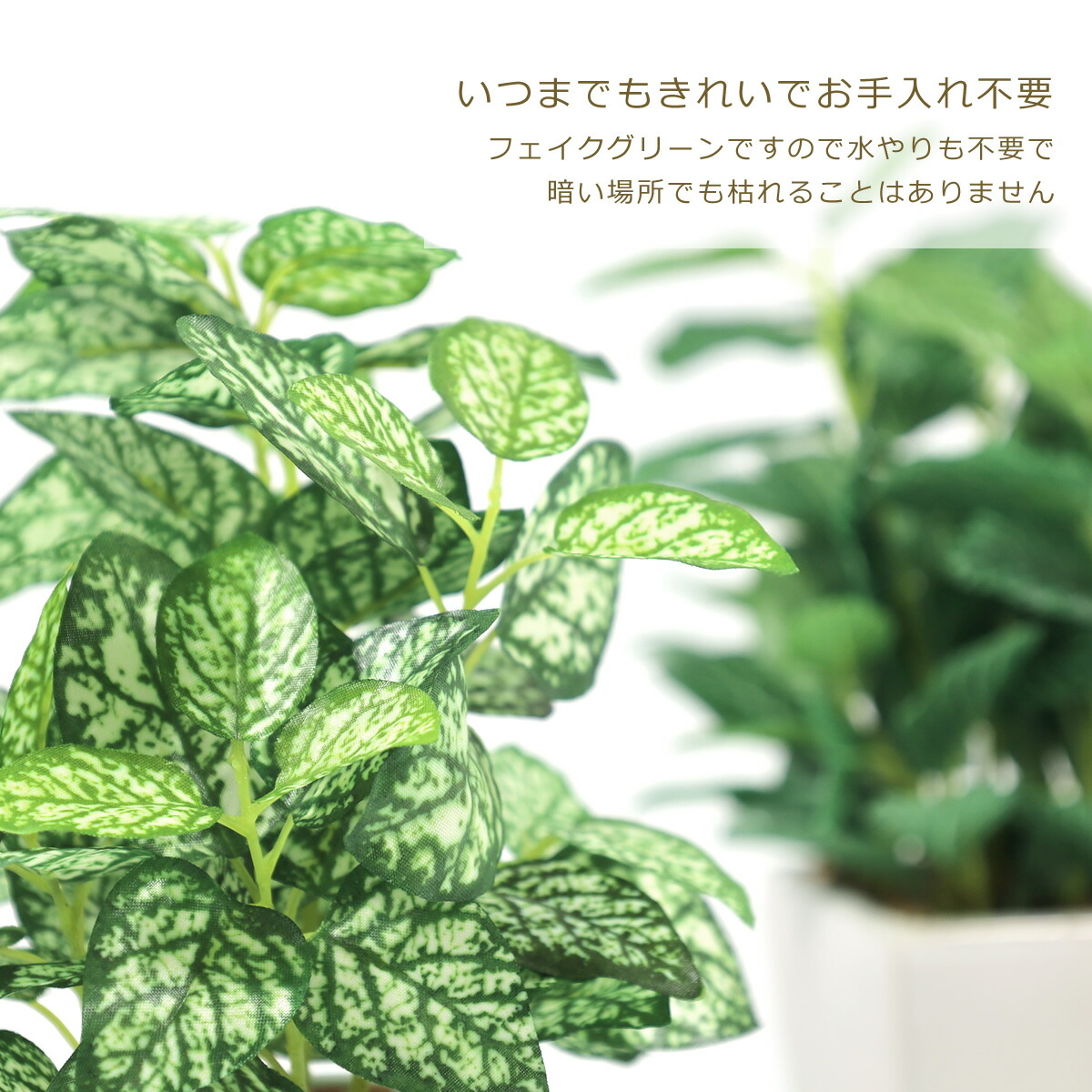 楽天市場】光触媒 光の楽園 卓上 グリーン フェイク 人工観葉植物