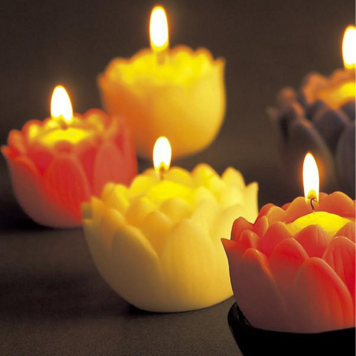 楽天市場】ローソク 蓮の花 大 ホワイト 燭台付 24時間 （ 花 ろうそく