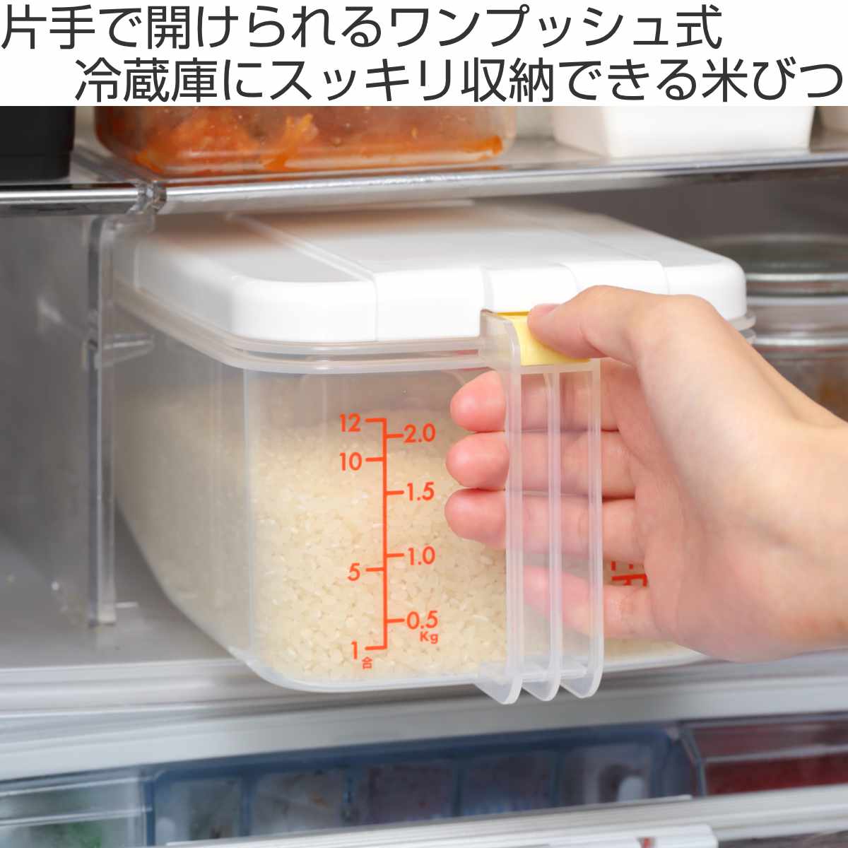 楽天市場】米びつ 冷蔵庫用米びつ 横型 2.5kg （ 計量カップ付き