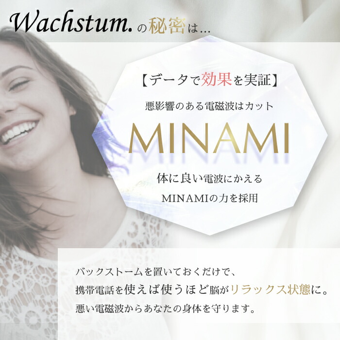 楽天市場】【公式】バックストーム Wachstum ニューモデル 0宣言の家