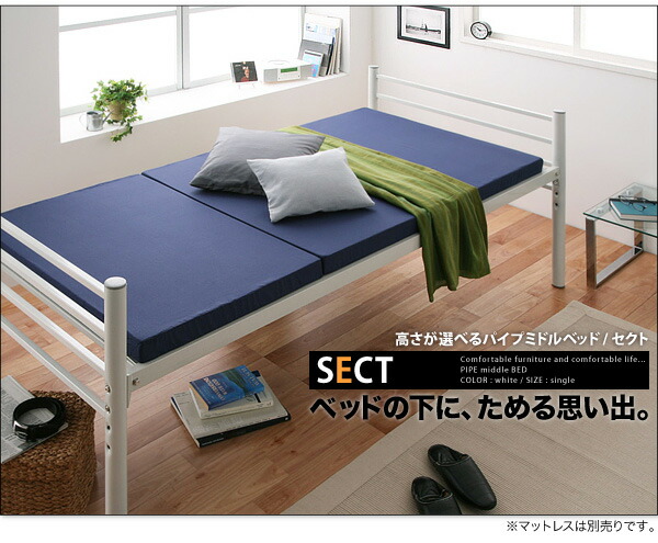 楽天市場】パイプベッド シングル フレームのみ 幅100×長さ218×高さ