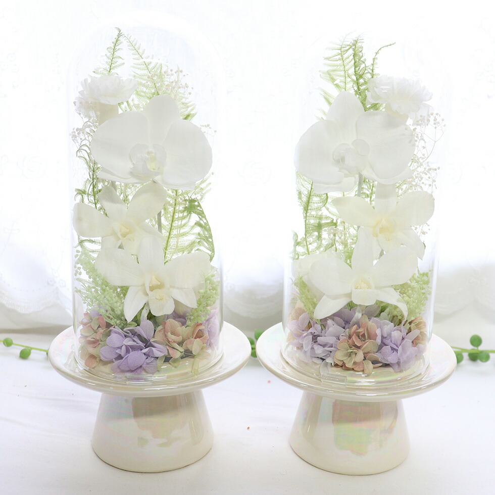 楽天市場】お供え 胡蝶蘭 プリザーブドフラワー 仏花 ガラスドーム