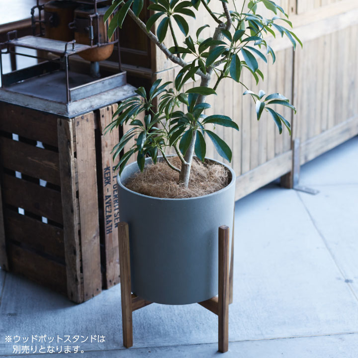 楽天市場】おしゃれ 大型 プランター 「プラニッタナ（Planeterna