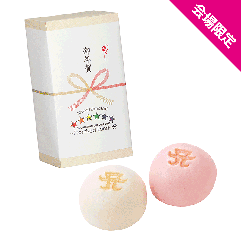 ayumi hamasaki COUNTDOWN LIVE 2019-2020 ～Promised Land～ A