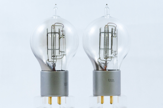 WE205D Psvane マッチドペア