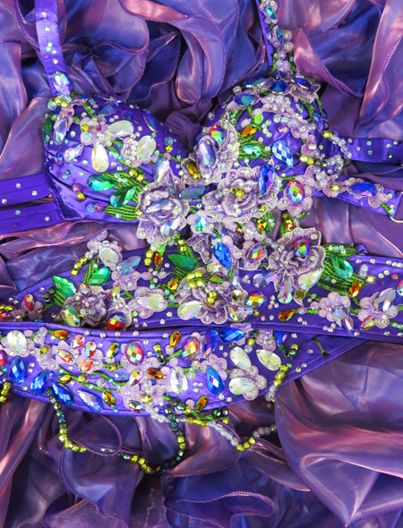 パープルベリーダンス衣装】繊細な装飾が美しい！ボリュームのある