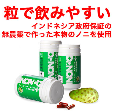 守破離 しゅはり 腸活 プロバイオティクス 東洋医学 和漢薬 糖質 カット