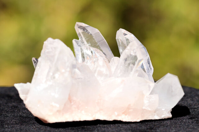 ピュアレイ・レムリアン・ルーツ(A474)