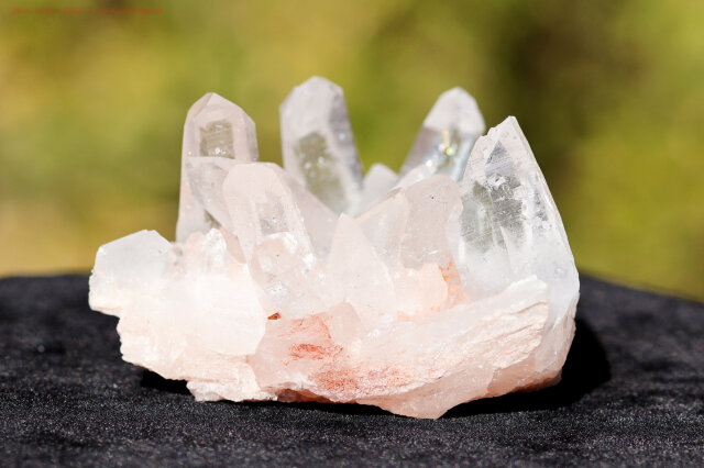 ヒマラヤ水晶｜マニカラン産ピンククラスター｜淡い癒しの輝き