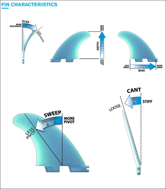 店内ポイント20倍中!!] FCS2 FIN フィン ロングボード CLIQUE PG