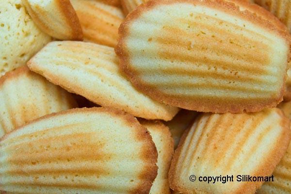 シリコン型 ミニ マドレーヌ型 MINI MADELEINE 4.4cm 10ml 15個取