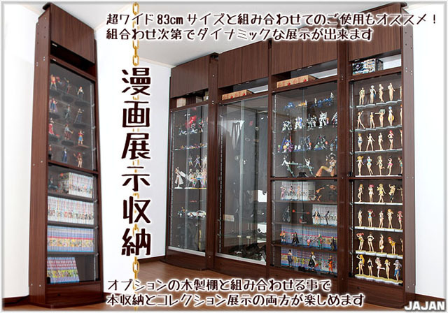 幅55cm/鍵付 コレクションラック改 薄型19cm奥行用 ガラス雛壇（1枚入）